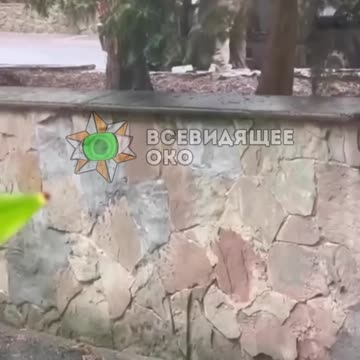 Lviv students Watch Zelensky Kidnap Their Fathers