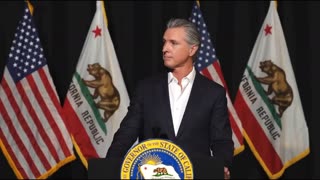 💯 Gavin Nuscum ~ parody ~ with a lot of truth 💯