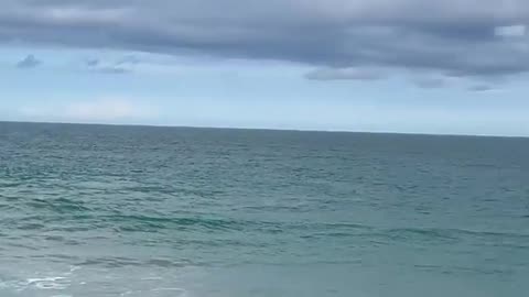 Year 2026 Rick Miracle Report #4, My day trip to the Sebastian Inlet National Park, Jan 24 2026