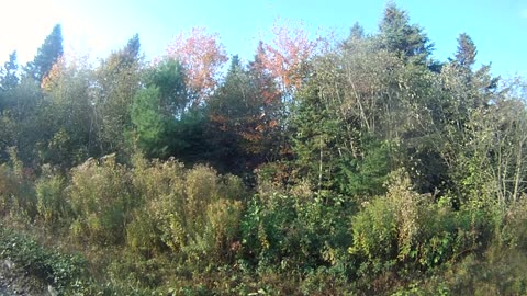 October 5th, 42º