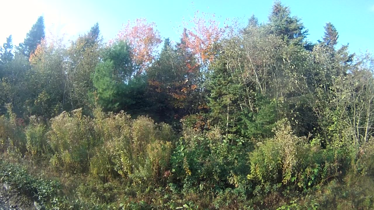 October 5th, 42º