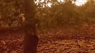 🔥🌃 Ukraine Russia War | Kharkiv Streets Ablaze from Russian Attacks | RCF