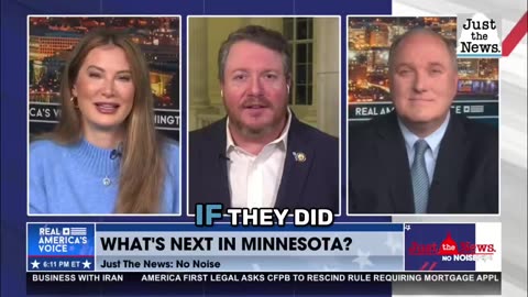 Rep. Fine argues that illegal immigration is the main culrpit in Minnesota crime
