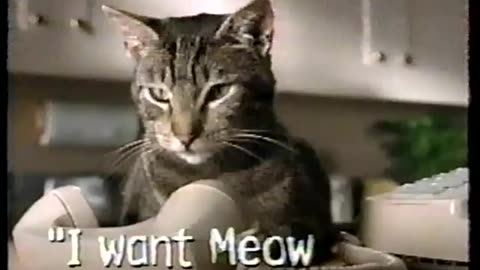 December 20, 1991 - Baxter the Cat Interrupts a Wedding & Christ Church Christmas