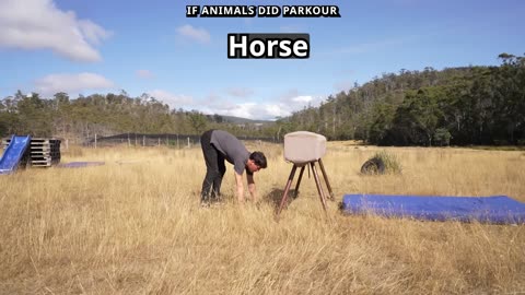 Best Funny Videos Compilation