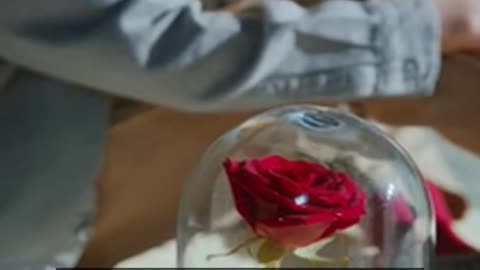 Daily Horoscope | Scorpio 🌟