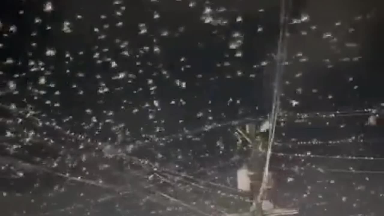 🌪️😮 Thousands of Birds Take Flight Before the Earthquake Hits! | FeedMyCuriosity