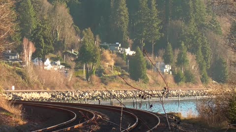 Burlington Northern Freight Train Passes Picnic Point County Park