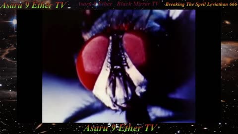 A9E Walt Disney Greek Masonic Donald Duck " Who Teach's Ur Planet " FREE