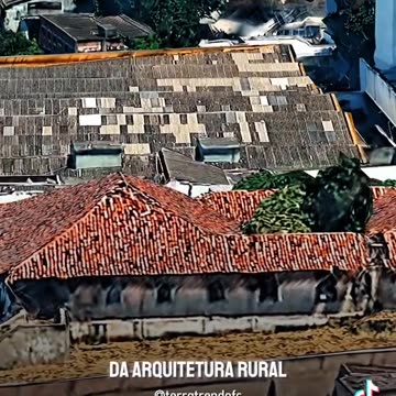 Primeira Muda de Café no Brasil