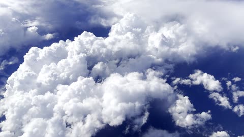 "If you tell the truth, you don't have to remember anything."