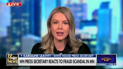 Leavitt: Trump "Not Afraid to Use Denaturalization" on Somali Fraudsters