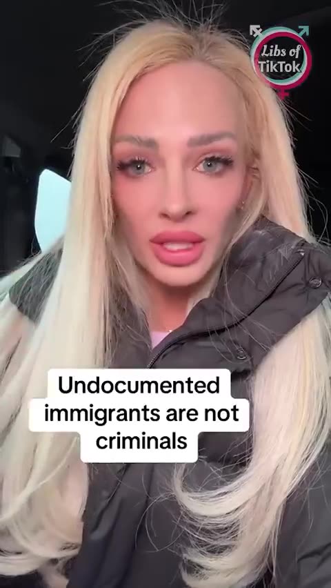 Immigration attorney tries to defend illegals by saying some are just undocumented.