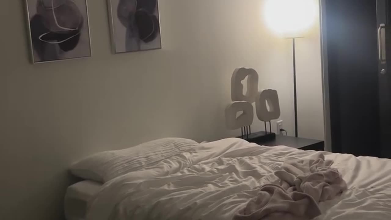 Mastiff's Big Zoomies Make Bed Look Small