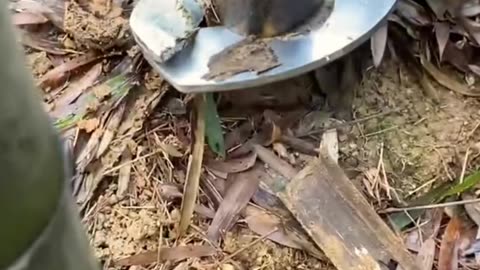 💡✨ Unlock the Secret to Effortless Living! | LifeHacksDaily