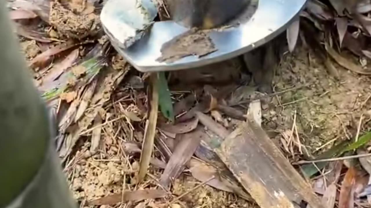 💡✨ Unlock the Secret to Effortless Living! | LifeHacksDaily