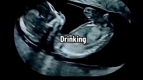 What Babies Do in the Womb?