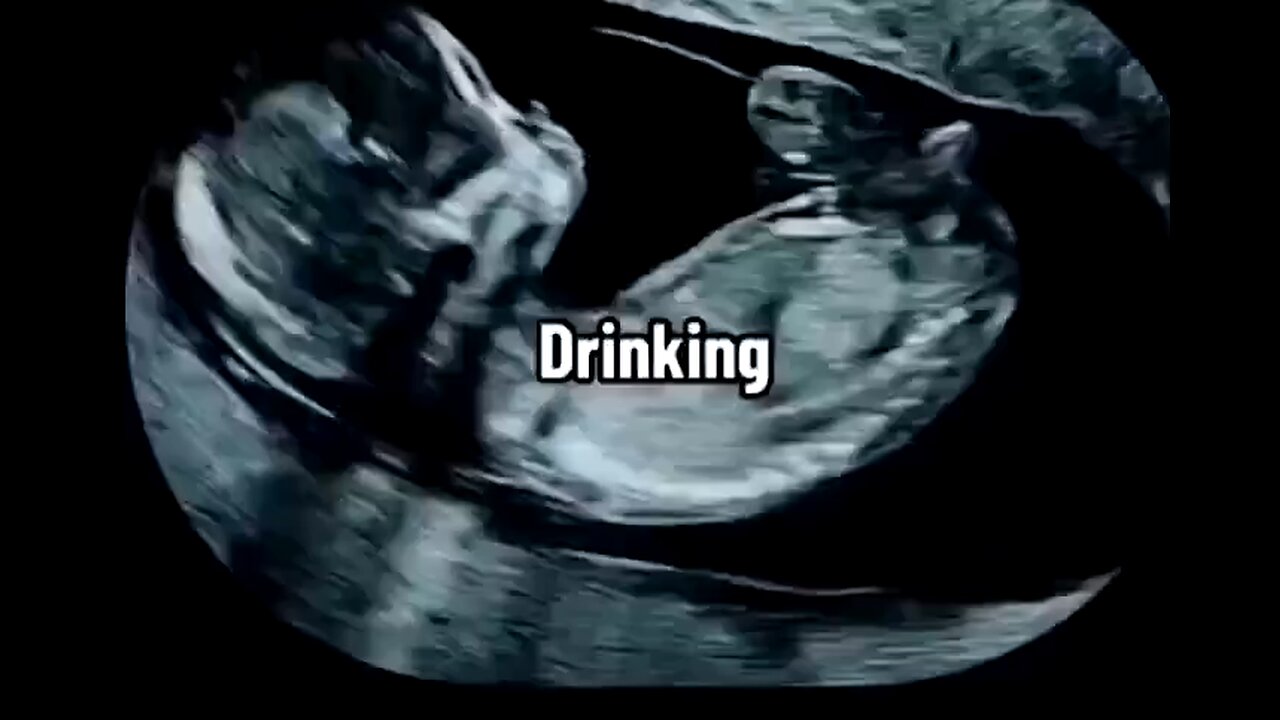 What Babies Do in the Womb?