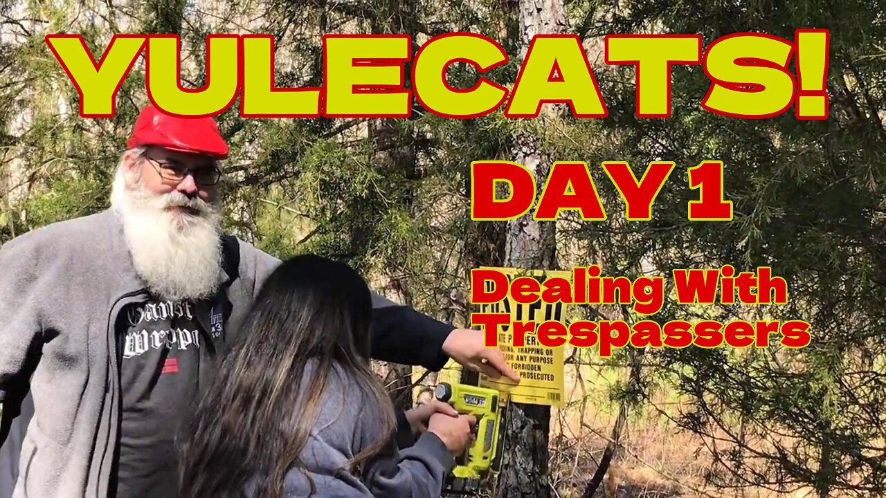 Dealing with YuleCats on Day 1