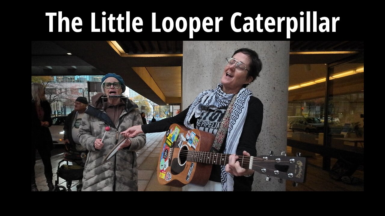 The Little Looper Caterpillar