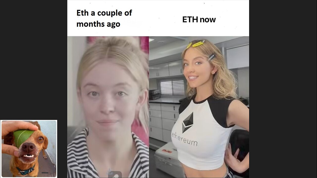 Memes That Will 99.0457% Make You Laugh. (e681)