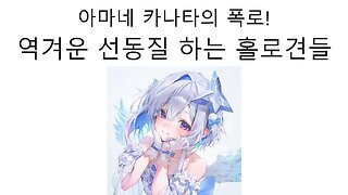 카나타 폭로에 또 선동과 날조 하기 시작한 홀로부타 버러지놈들