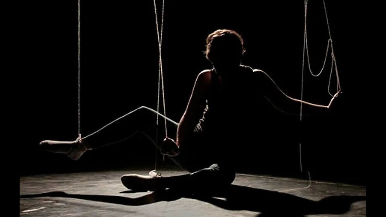 MGTOW Talks: Professor Mills on Evolutionary Psychology and Free Will