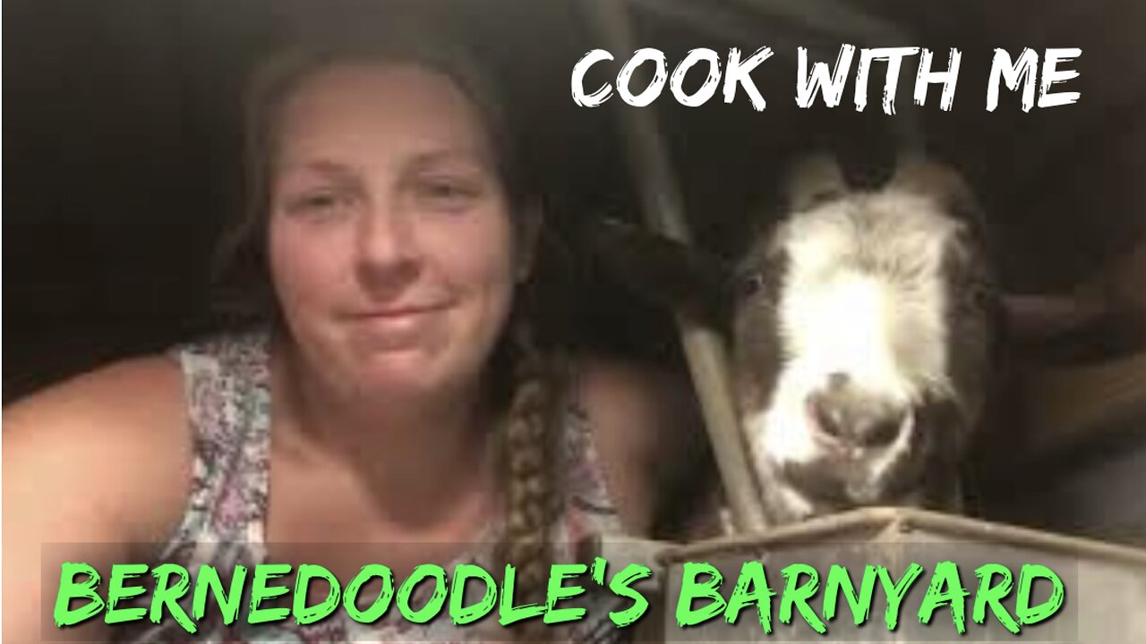 Cook With Me VLOG#040 (A week of dinners cooking with venison, rabbit, and homemade goat cheese)