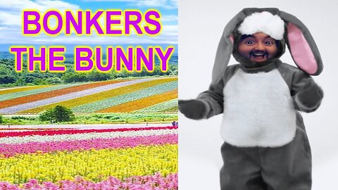 Bonkers The Bunny Is Here For You!