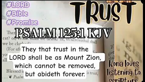 Psalm 125:1 They that trust in the LORD shall be as Mount Zion #faith #trust #lord #god #bible #kj