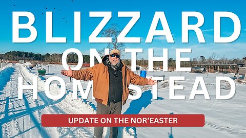 Blizzard Buried Everything | Nor'easter Update