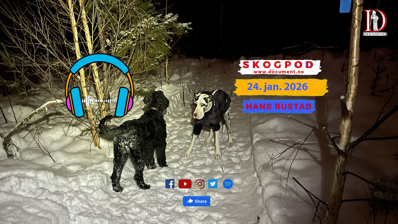 Skogpod 24. januar 2026