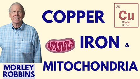 RHP 51 - Copper & Trace Minerals for Optimal Mitochondrial Health | Morley Robbins