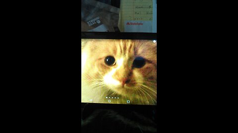 What is what and who is who in the bible