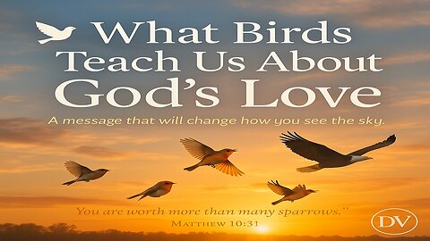Bird Watching and God’s Love: A Lesson from Heaven Itself