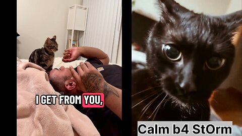 Man reminds his Cat how much he does for him…#cat #funny #reels #viral #cute