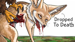 Why It Sucks To Be Born As a Fennec Fox