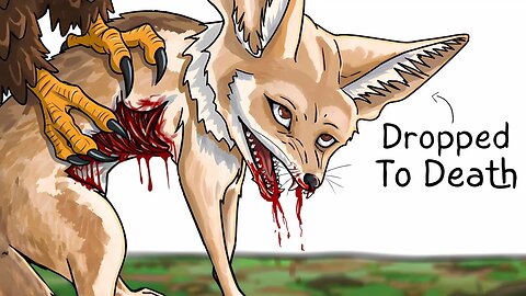 Why It Sucks To Be Born As a Fennec Fox