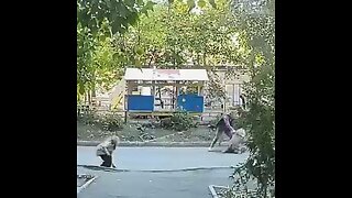 Héroe anónimo ruso impide que roben a una niña