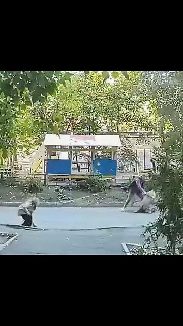 Héroe anónimo ruso impide que roben a una niña