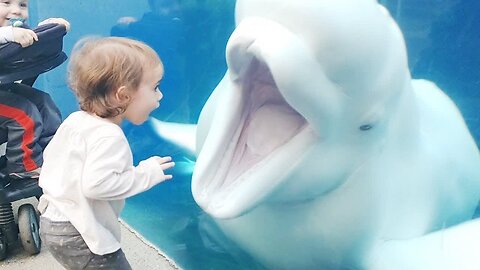 Funny Kids at the Aquarium _ Girl SPOOKED By A Beluga Whale!