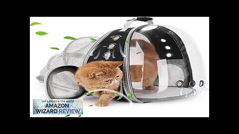 Lollimeow Bubble Expandable Cat Backpack Pet Travel Carrier for Cats and Dogs Review