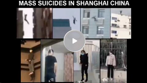 Chaos in Shanghai-looting, protests, suicides, arrests, starvation, pets killed, lockdowns and more!