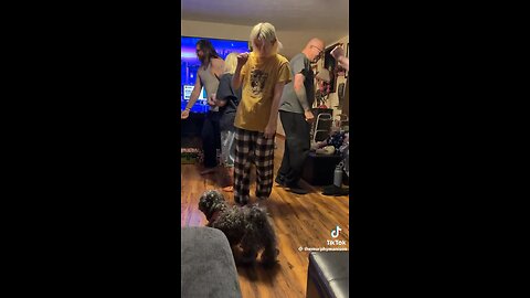 The Murphy’s - something about the Holy Ghost #scootchallenge #quartet