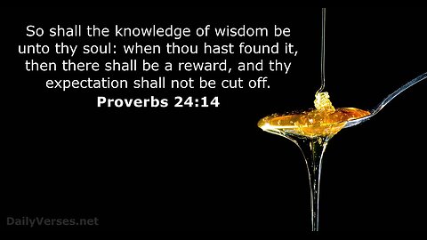 Proverbs 24