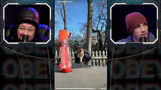 ⚠️They are FEEDING your EYES PILES of SLOP - What are your CONSUMING - Information or Trash⚠️