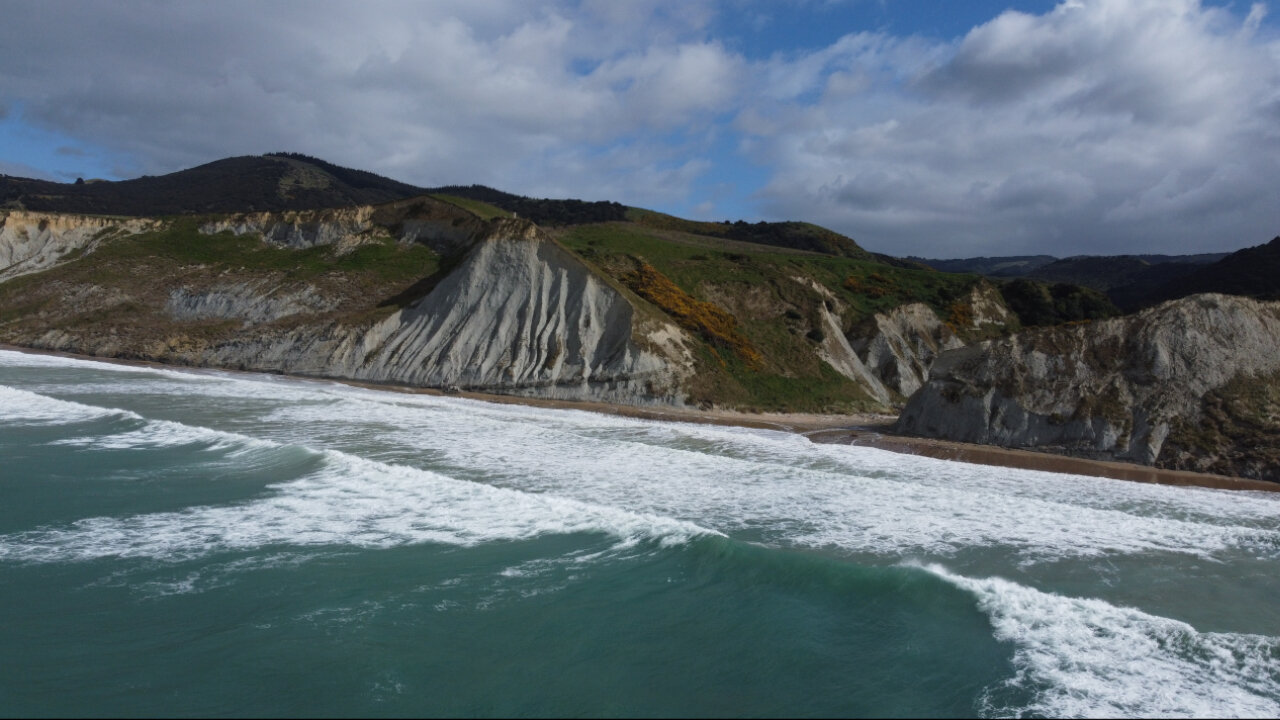 It's Windy but it's Fine at Tiromoana Bush Walk | Finding the sweet spot of balance