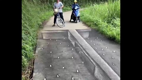 Everyone was scared after seeing the illusion scratch on the road.