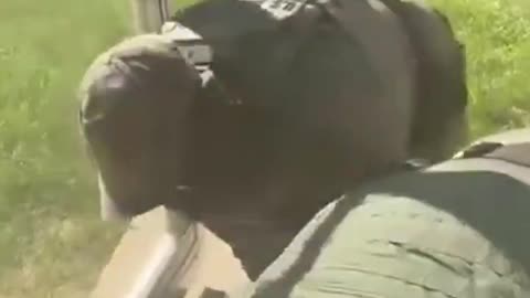 Broadview: ICE attempts to arrest individual at their residence