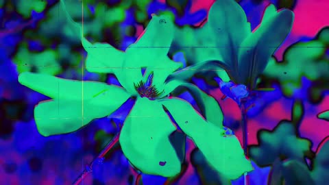 Weight and Immortality of Words (short poem)